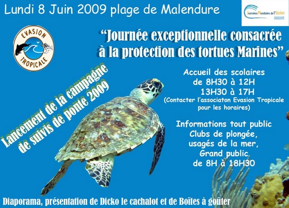 Autour de Dicko le cachalot Autour de Dicko le cachalot