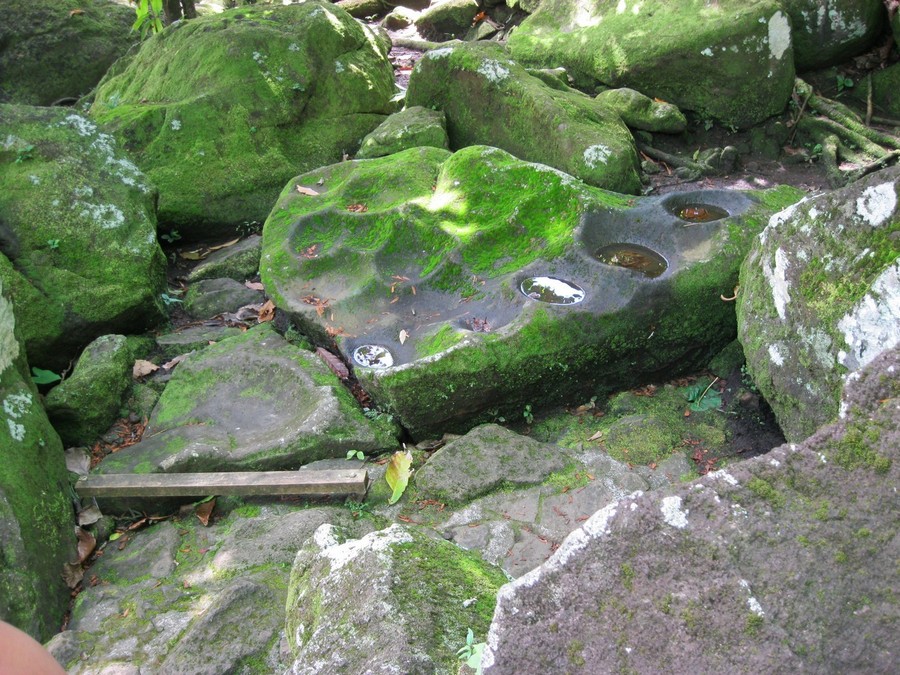 Les roches gravées en Guadeloupe à Capesterre Belle Eau Les roches gravées en Guadeloupe à Capesterre Belle Eau