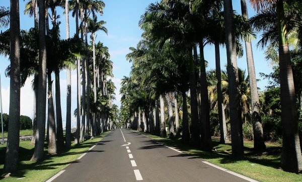 Allée Dumanoir Allée Dumanoir